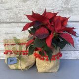 Christmas Hessian Herb Bag